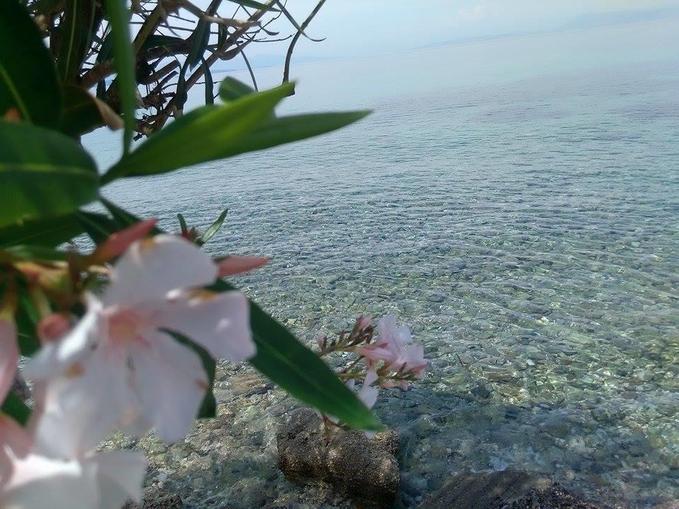 Ampelaki Studios Mpoukaris Ruang foto